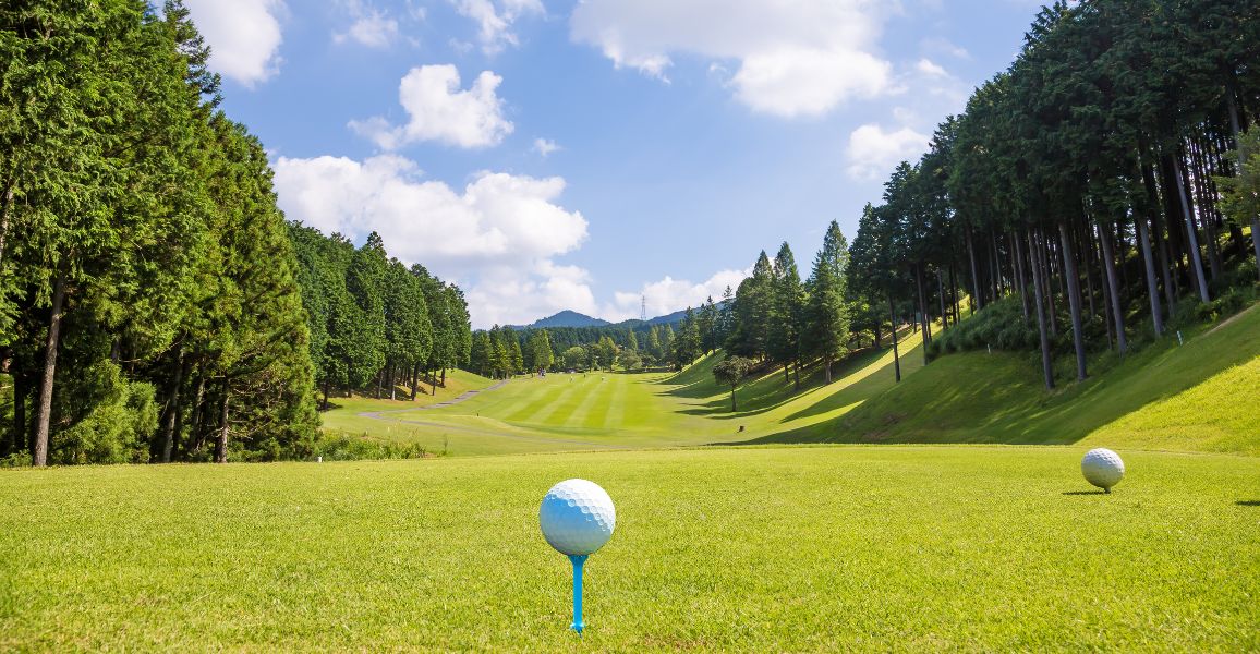 Golf ball on a tee box and a green fairway and evergreen trees