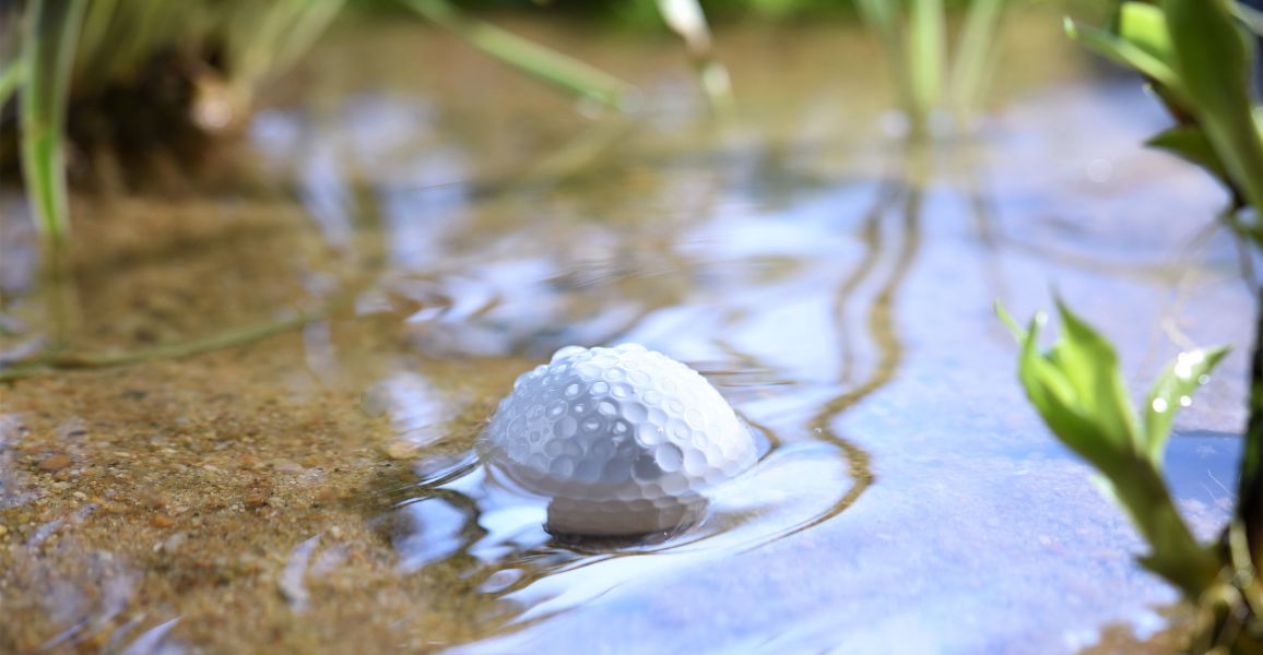 Golf ball sitting is a small body of water surrounded by grass