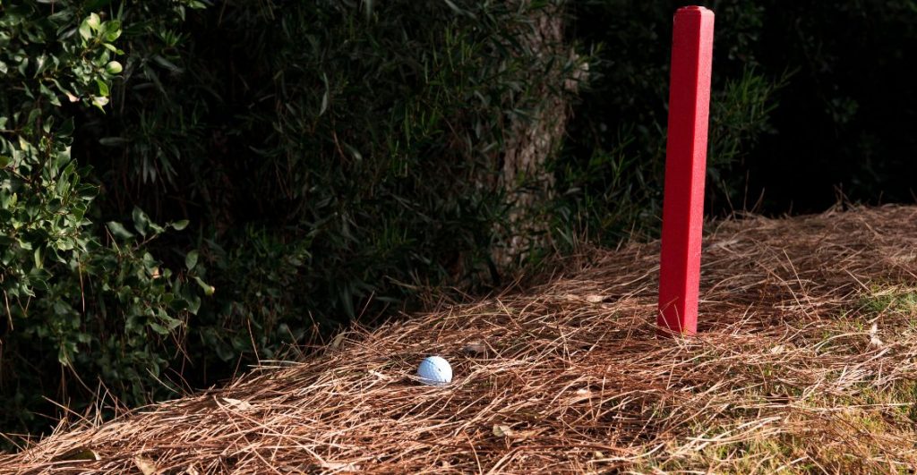 golf ball in a red staked hazard area on a golf course